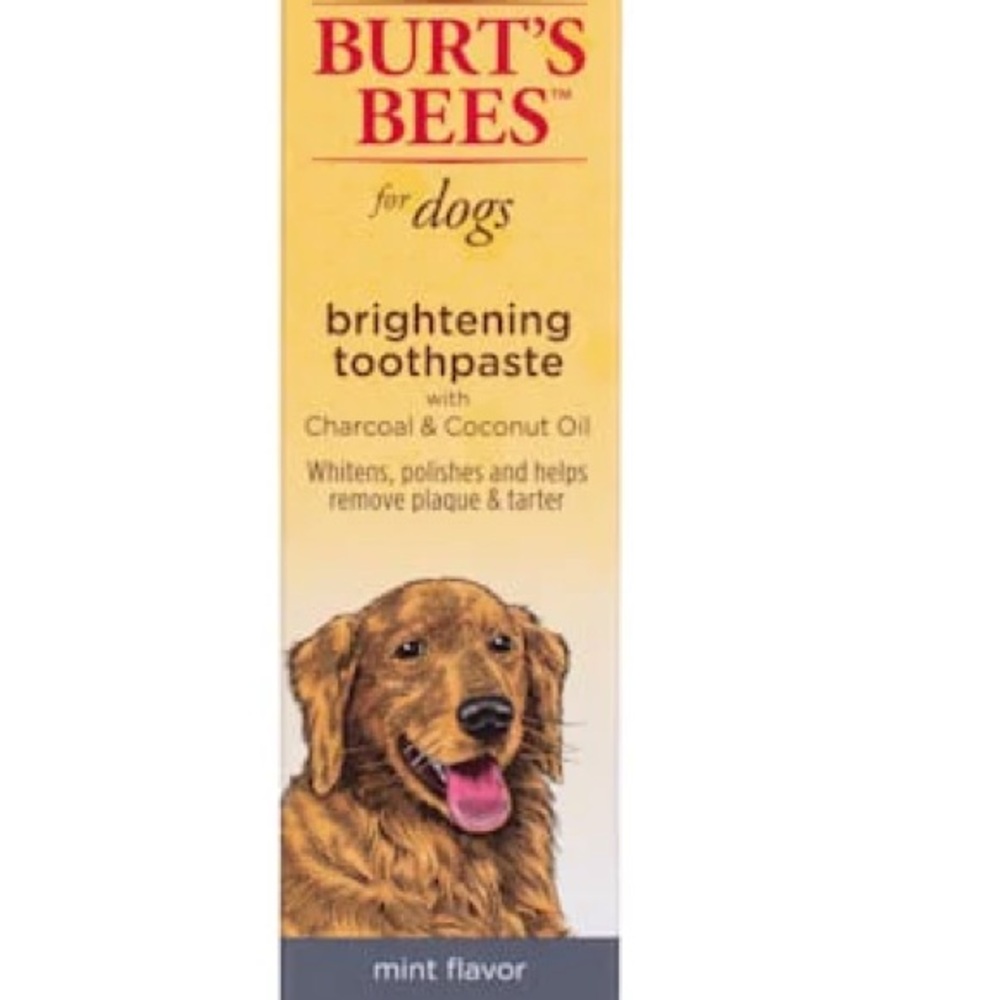 Burt's Bees Mint Flavor Dog Toothpaste